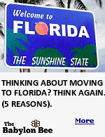 So, you've decided to join all the cool New Yorkers who are moving to Florida? Congratulations! It'll be just like snowbirding, except it'll last forever! Unfortunately, it's been said that New Yorkers often experience a significant culture shock when they first arrive in the Sunshine State.